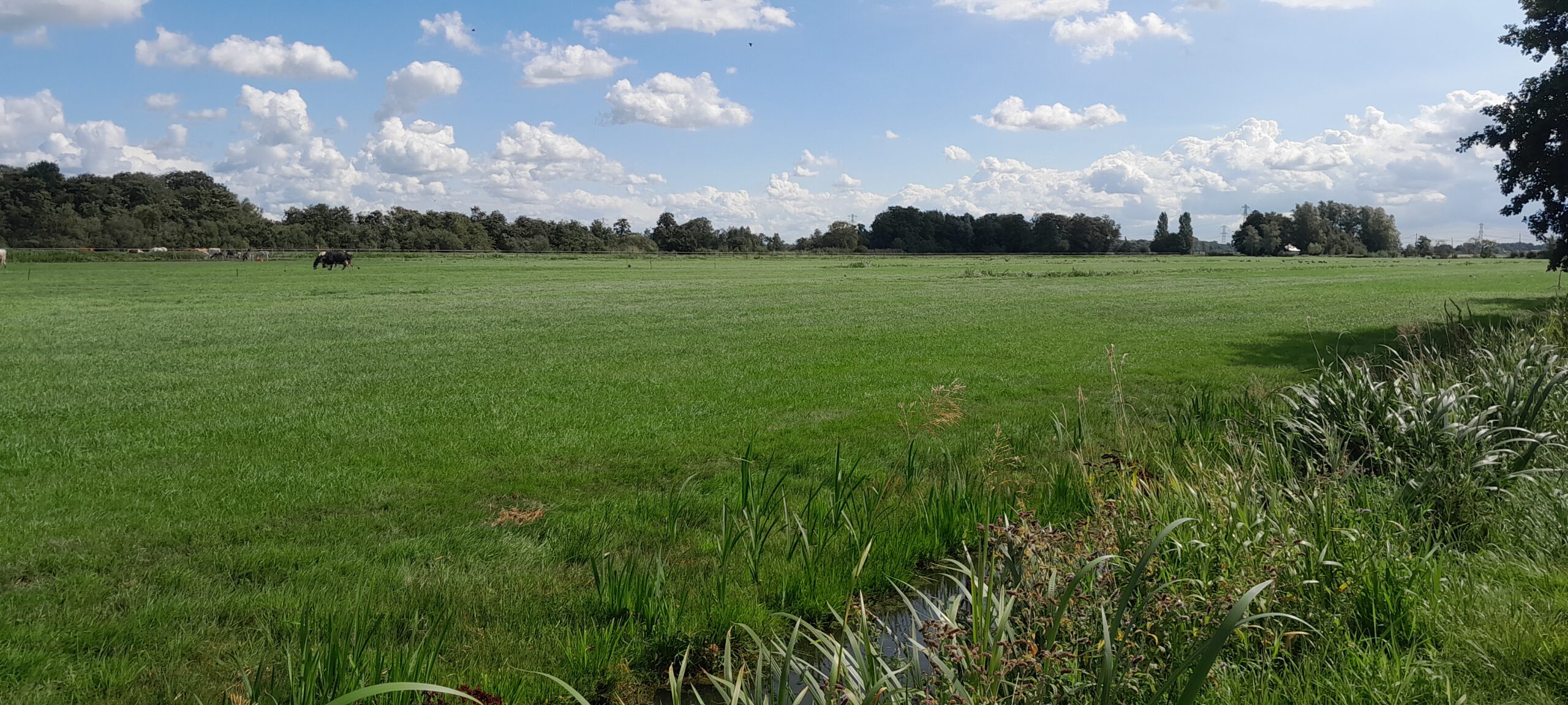 Wandelen samen met het IVN; De Oostvaartroute