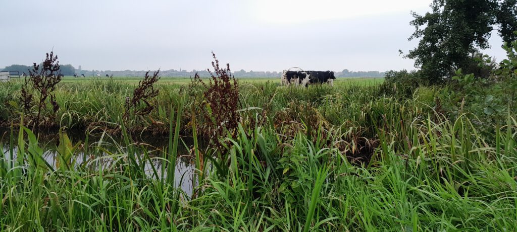 IVN IJssel en Gouwe