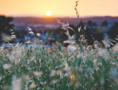 Gemeenteraad Lansingerland bezoekt Rotta Natuur