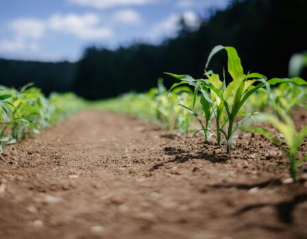 Samenwerken aan een aantrekkelijk Groene Hart