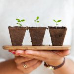 Feest van de Biodiversiteit in Agrarische Natuur