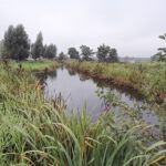 Ontdek stinsenplanten en vogelzang nabij Boskoop
