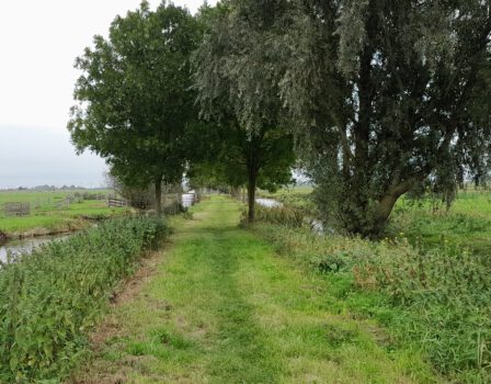 Herstel van de Wandelverbinding tussen Nieuwerbrug en het Wiericke-gebied