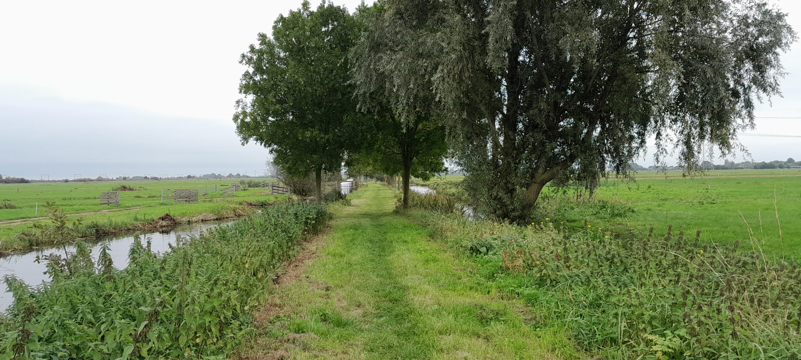 Wandelen over boerenland in het Groene Hart: een duurzame natuurbeleving