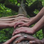 Help mee met het landschapsonderhoud in het Loetbos