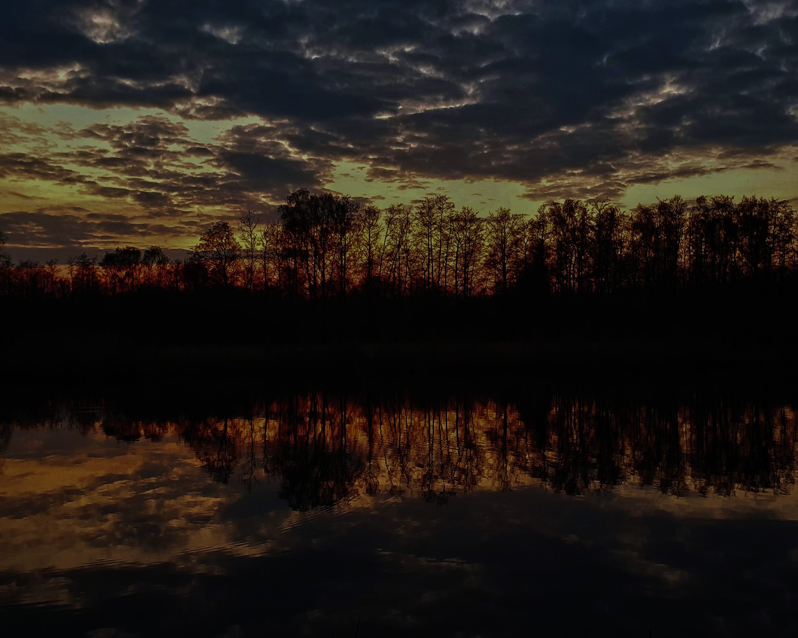 Beleef de Nacht van de Nacht met een avondwandeling in het Goudse Hout!