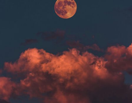 Beleef de Nacht van de Nacht met een avondwandeling in het Goudse Hout!