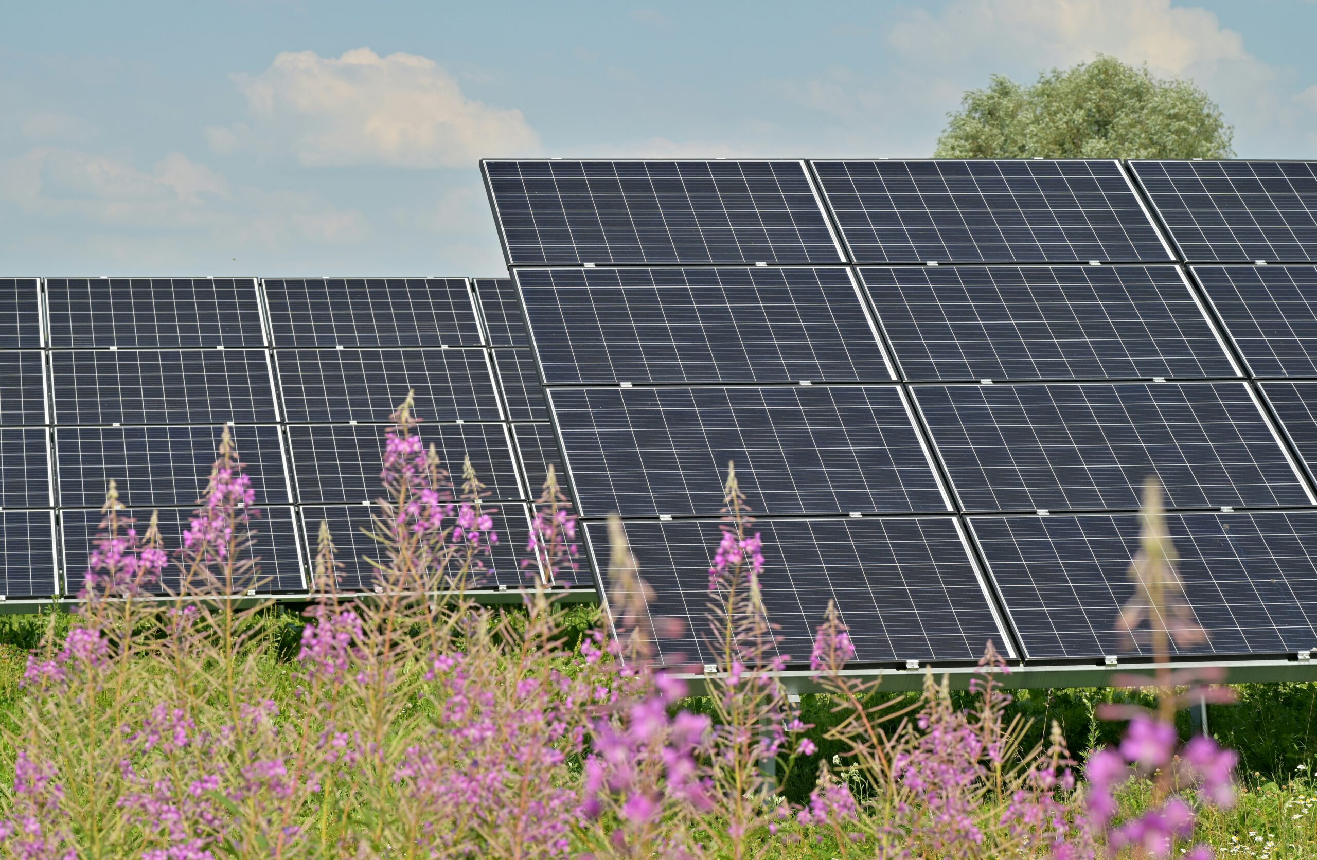 Koepelorganisaties voor energielandschappen in het Groene Hart