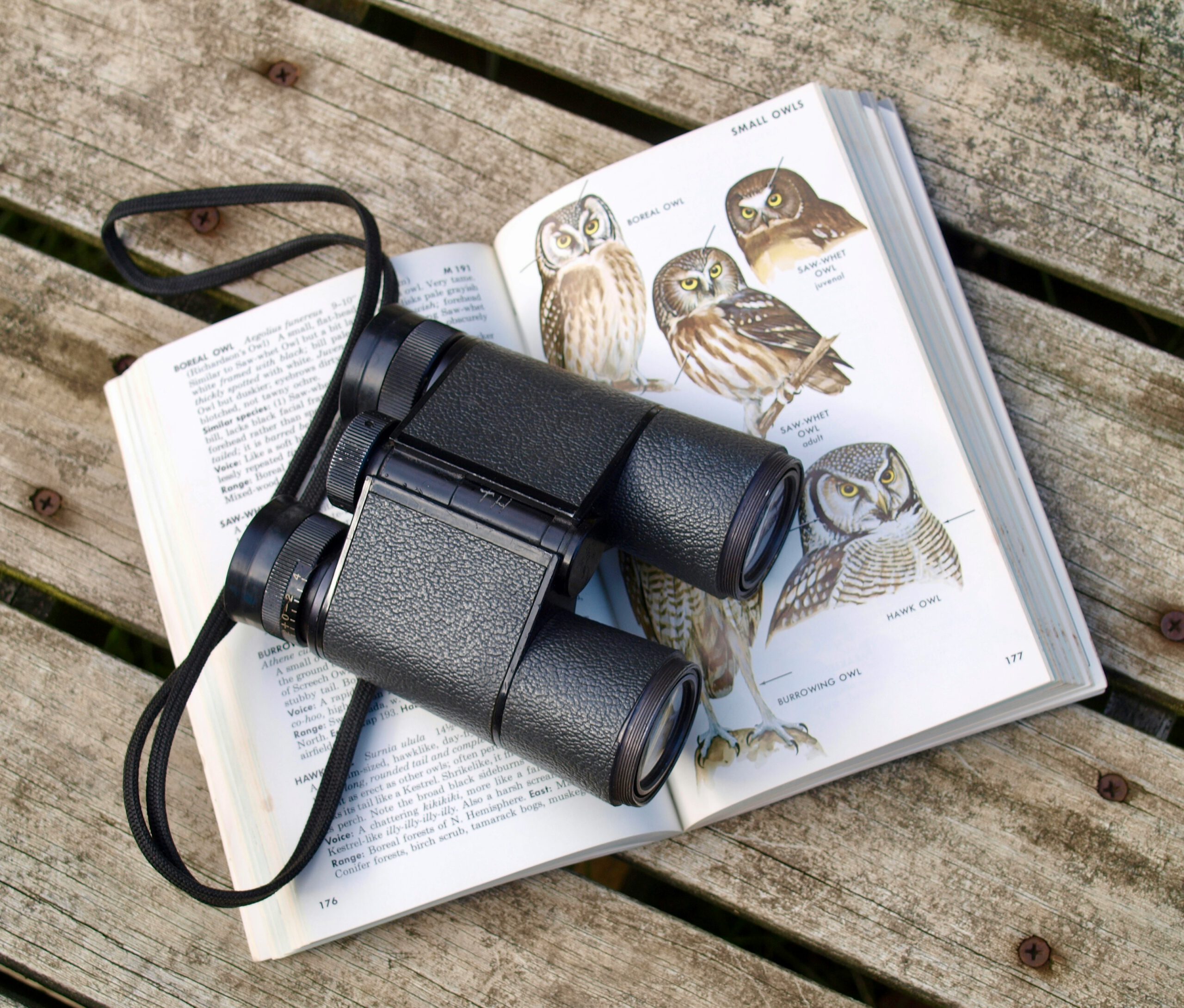 Vogelexcursie in natuurgebied De Hooge Boezem