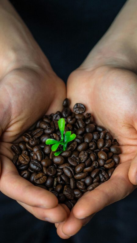 Zuidplas ‘Fairtrade Gemeente’ in 2025?