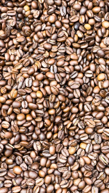 Meer over onverpakte bioproducten bij Zonder Meer: Tap je eigen potje of zakje