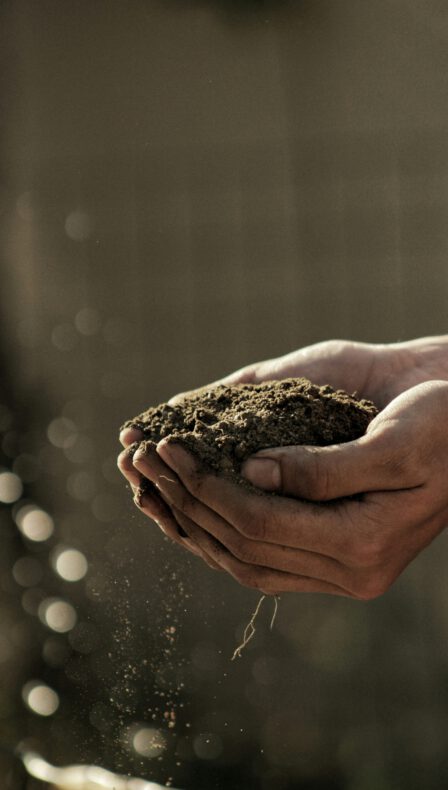 NLdoet Duurzaam? Samen werken aan een groener Groene Hart!