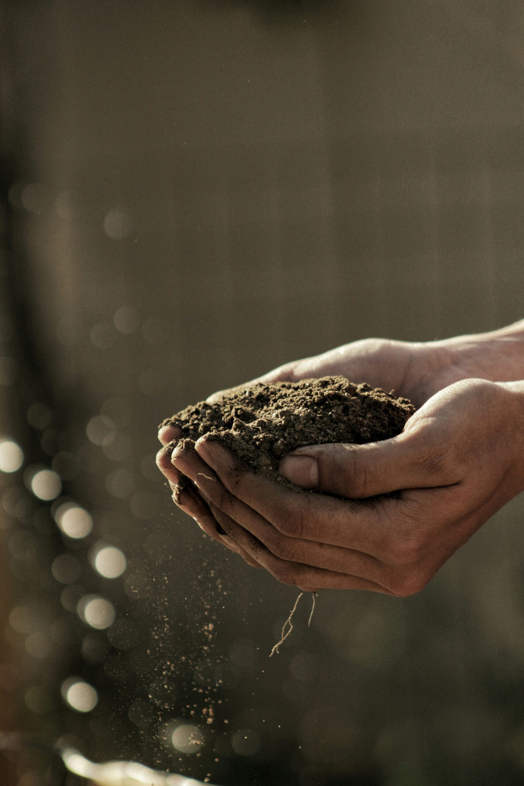 NLdoet Duurzaam? Samen werken aan een groener Groene Hart!