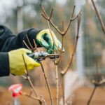 Doe mee met NLdoet in Gouda en maak het verschil!