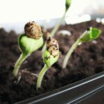 Duik de natuur in met de proeftuin praktijk