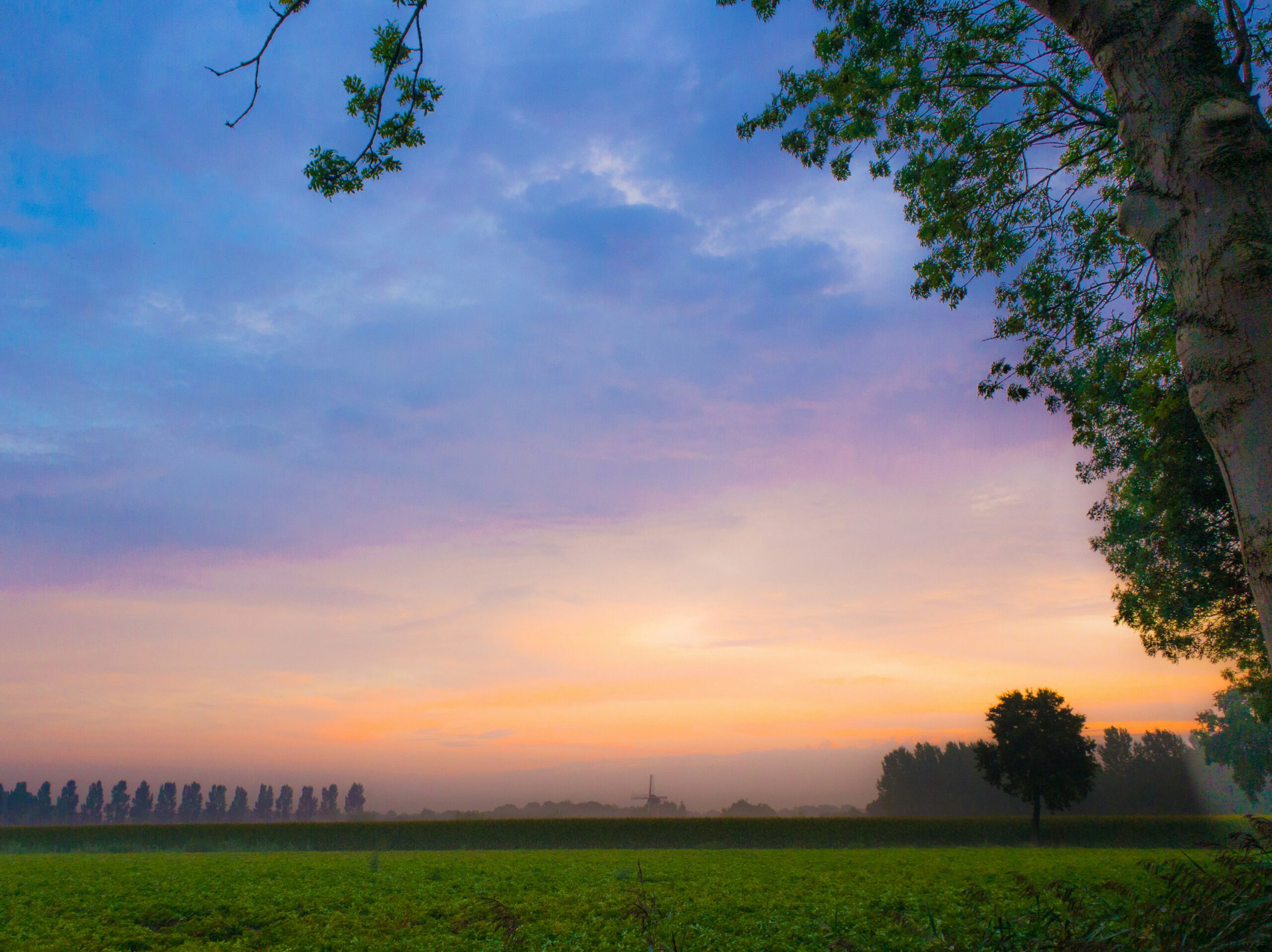 Lezing over wandelen over boerenland: een unieke natuur- en landschapservaring