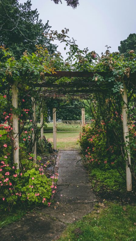 Een levende tuin maak je zelf – Workshop in Reeuwijk