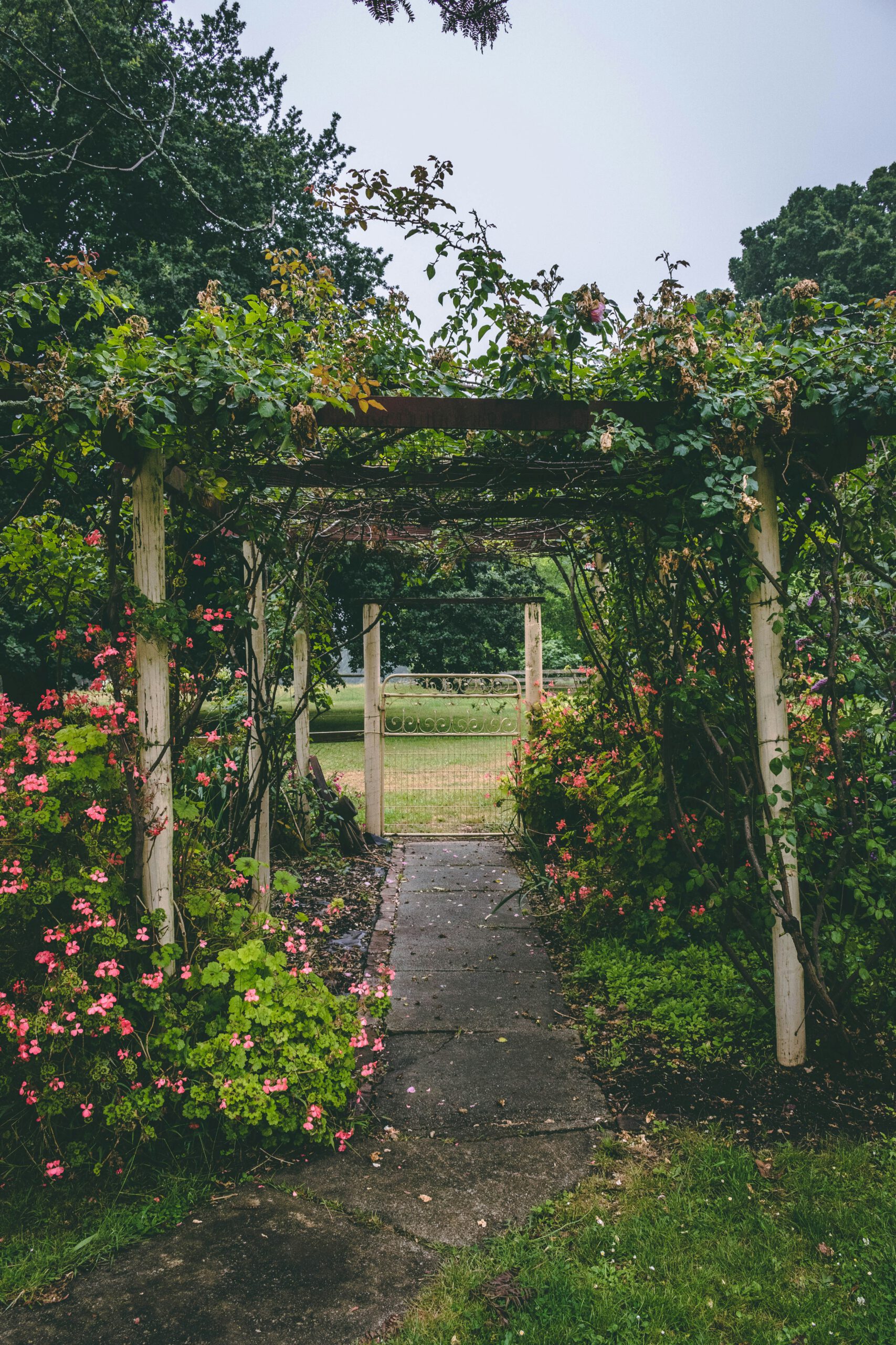 Een levende tuin maak je zelf – Workshop in Reeuwijk