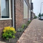 Gratis Geveltuin!