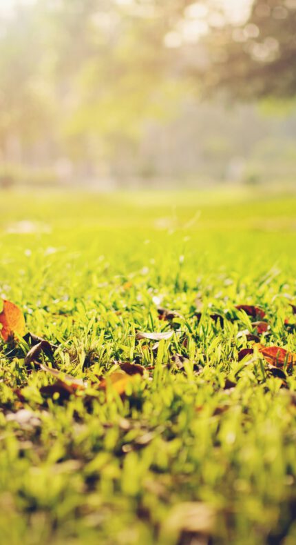 Landelijke compostdag – gratis compost!