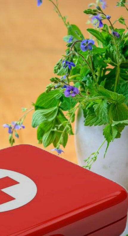 De natuur als EHBO-trommel: Ontdek geneeskrachtige planten!