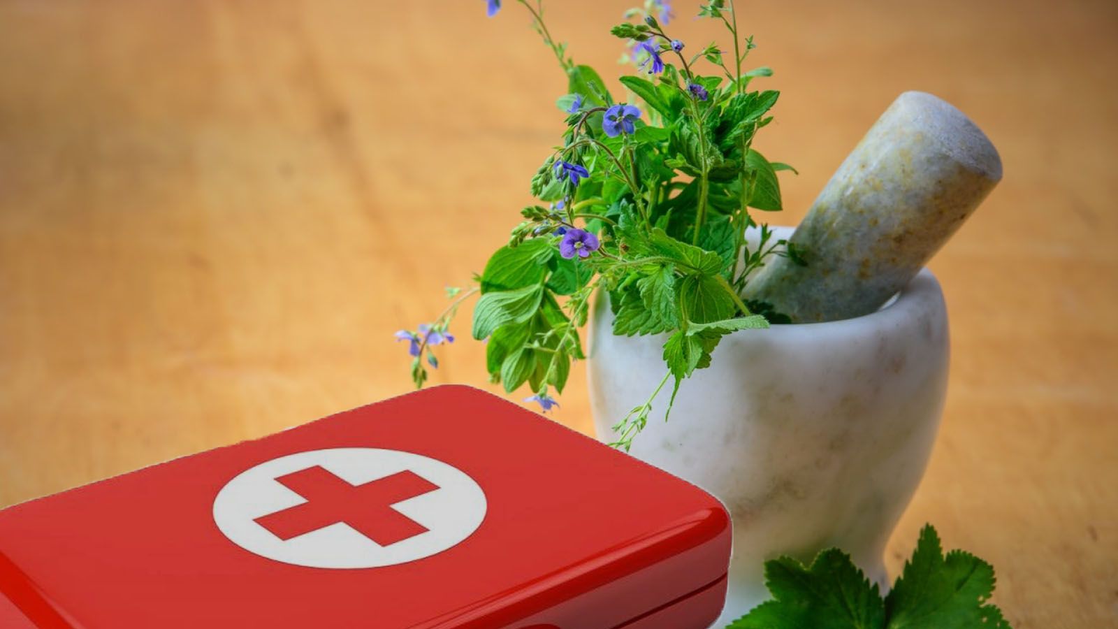 De natuur als EHBO-trommel: Ontdek geneeskrachtige planten!