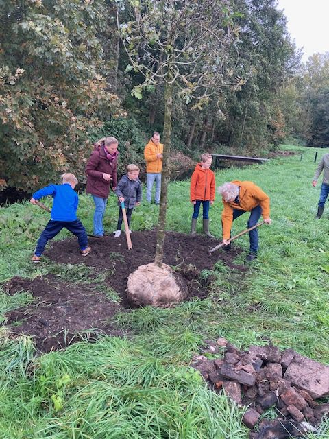 Nieuw moerasbos verbindt natuurgebieden