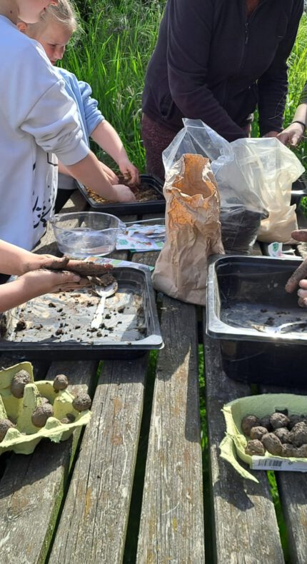 Nationale Zaaidag bij Hortus Populus: een feest voor natuur en buurt