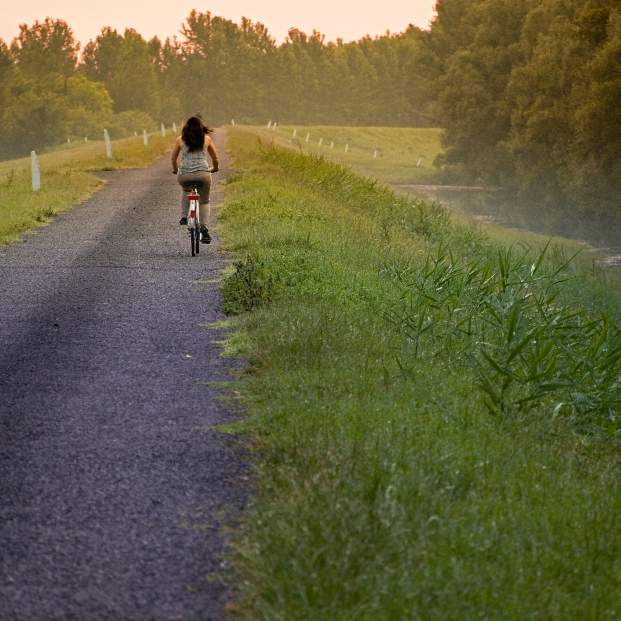 Natuurlijke fietstocht naar het Bentwoud, Boskoop