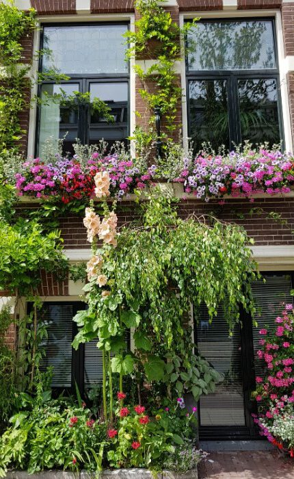 Daken en gevels in het groen: inspireer en win!