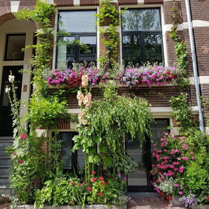 Daken en gevels in het groen: inspireer en win!