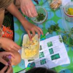 Eetbare natuur voor kinderen: wildplukken en buitenkoken in Bergschenhoek
