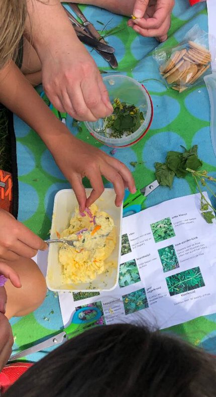 Eetbare natuur voor kinderen: wildplukken en buitenkoken in Bergschenhoek