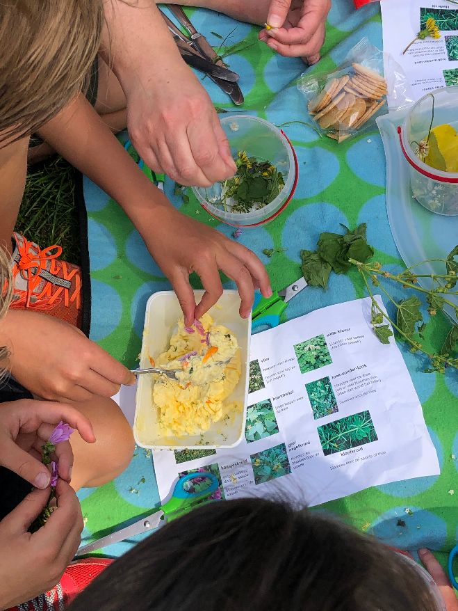 Eetbare natuur voor kinderen: wildplukken en buitenkoken in Bergschenhoek