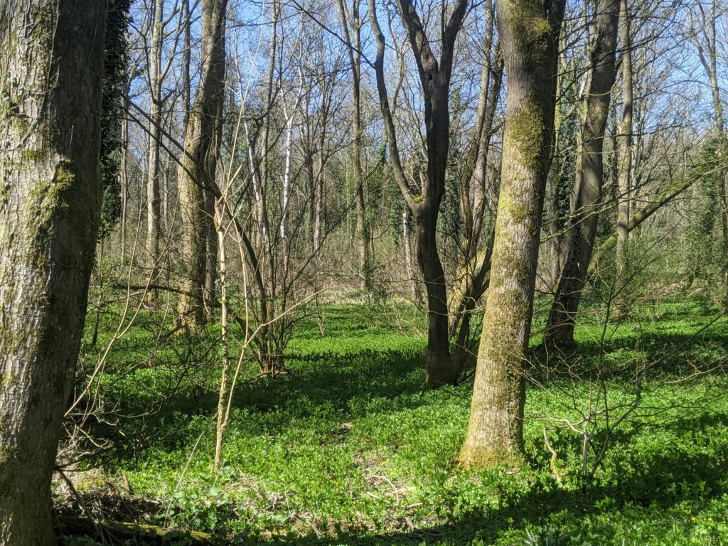 Een kwart eeuw natuur, recreatie en toekomstbestendig landschap