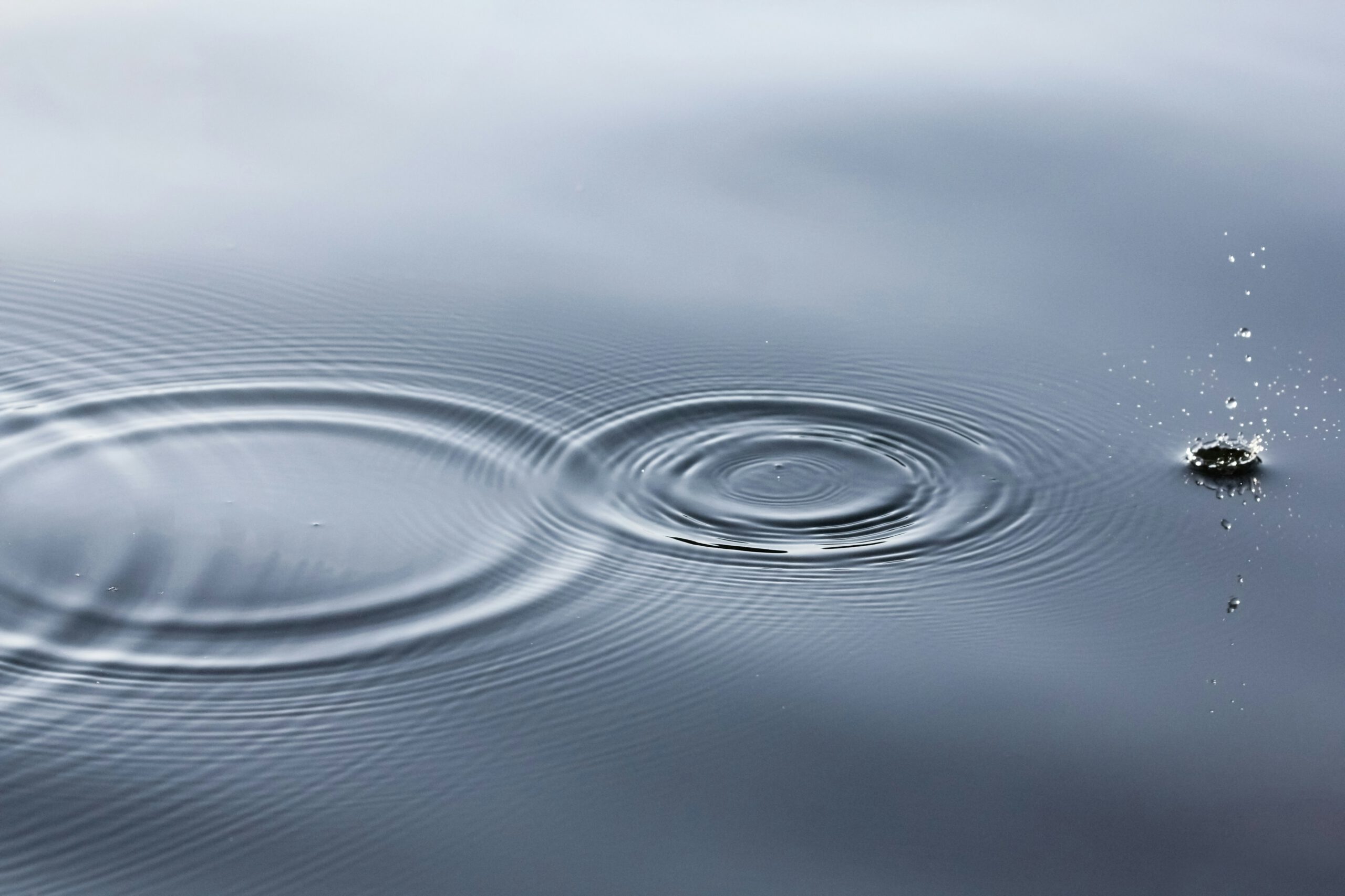Schoonwaterwandeling langs de Kromme Aar en Zegerplas