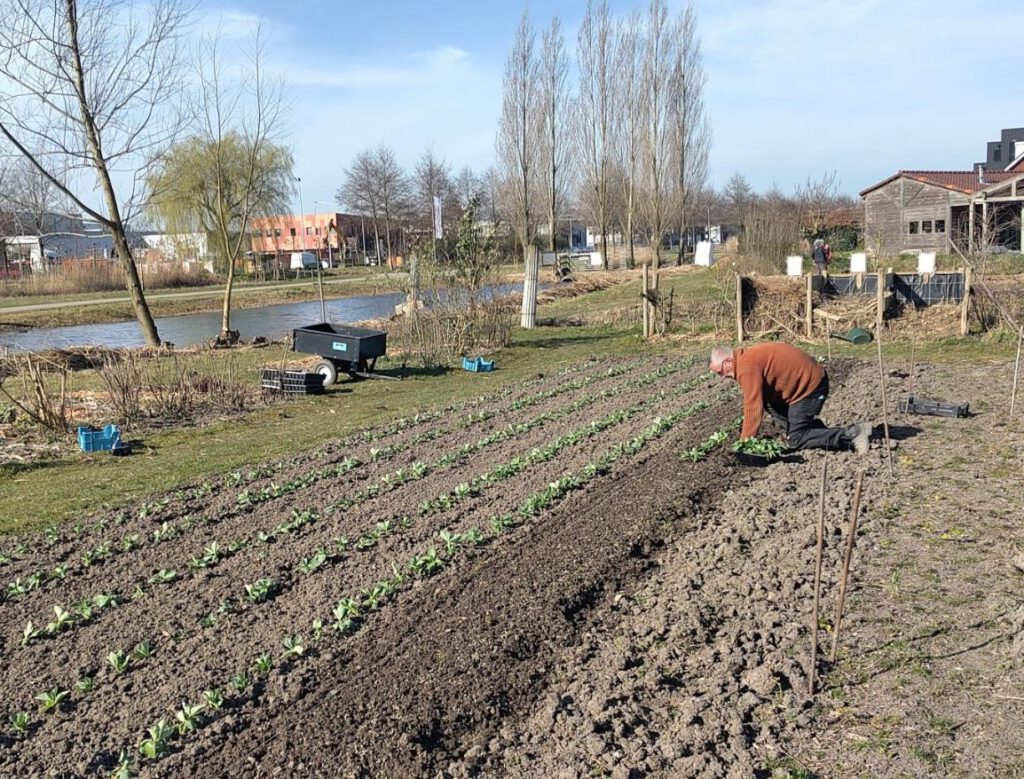 Zonder gif, vol smaak: het nieuwe oogstseizoen is begonnen!