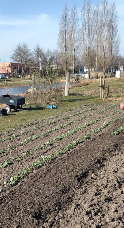 Zonder gif, vol smaak: het nieuwe oogstseizoen is begonnen!