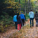 Wandeling Rondje Rietveld met bezoek aan het Voedselbos