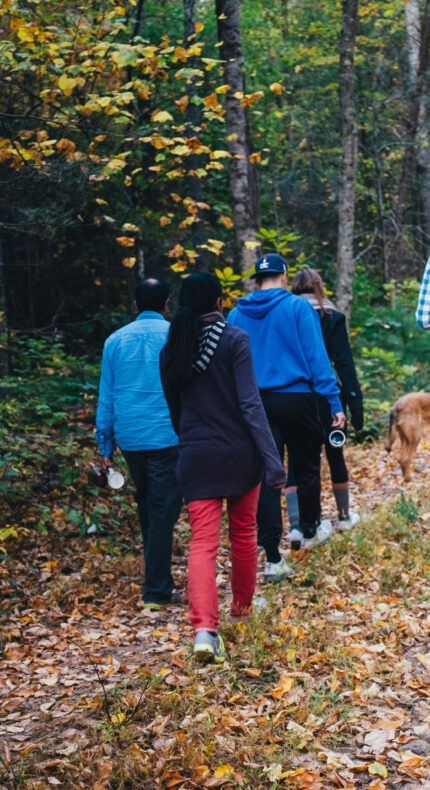Wandeling Rondje Rietveld met bezoek aan het Voedselbos