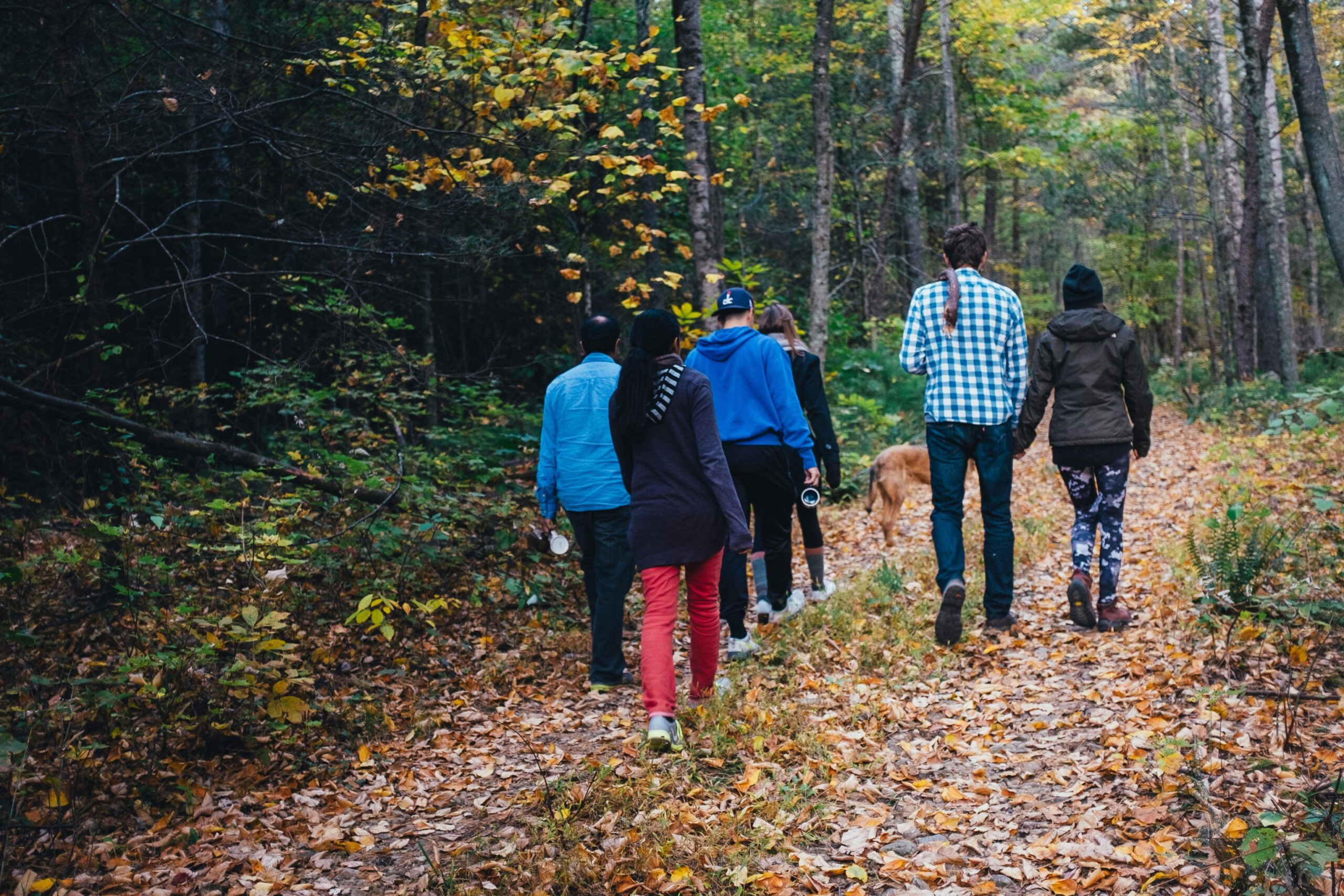 Wandeling Rondje Rietveld met bezoek aan het Voedselbos