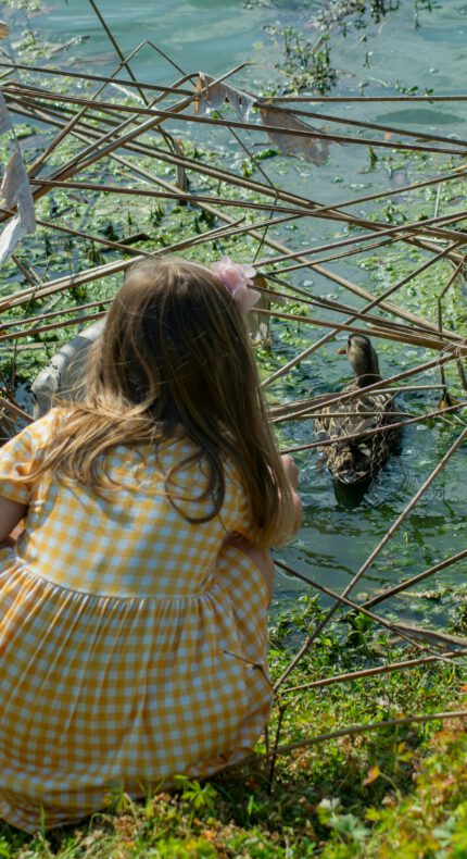 Kinderexcursie met het Zonneveer op de Nieuwkoopse plassen