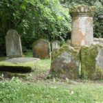 Excursie op natuurrijke begraafplaats in Gouda – ontdek flora en korstmossen