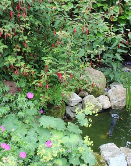 Zo Houd je je Tuin in Balans
