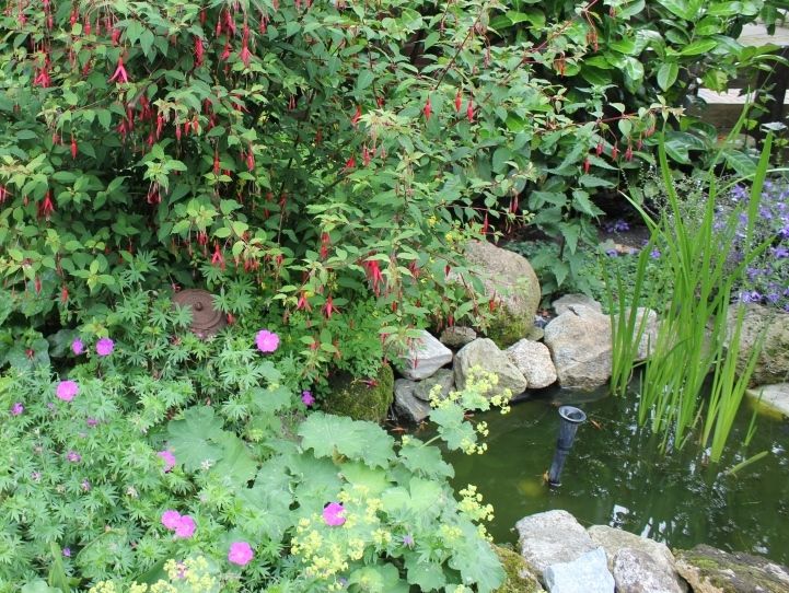 Zo Houd je je Tuin in Balans