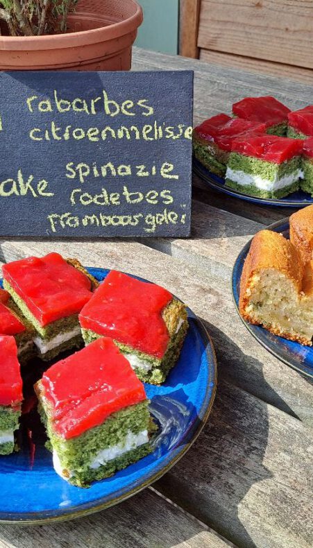 Zo maak je het Groene Hart groener en gezonder
