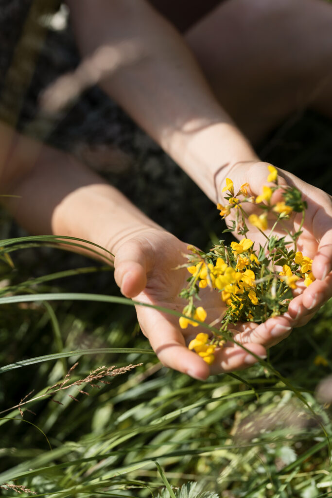 Inspiratie voor een gezamenlijk groener Groene Hart