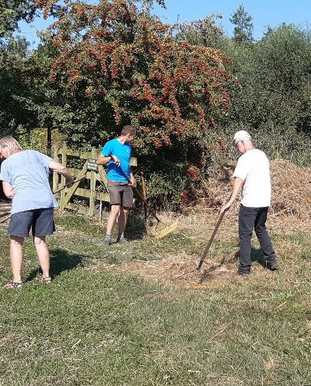 Samen hooien voor biodiversiteit in de Goudse Hout