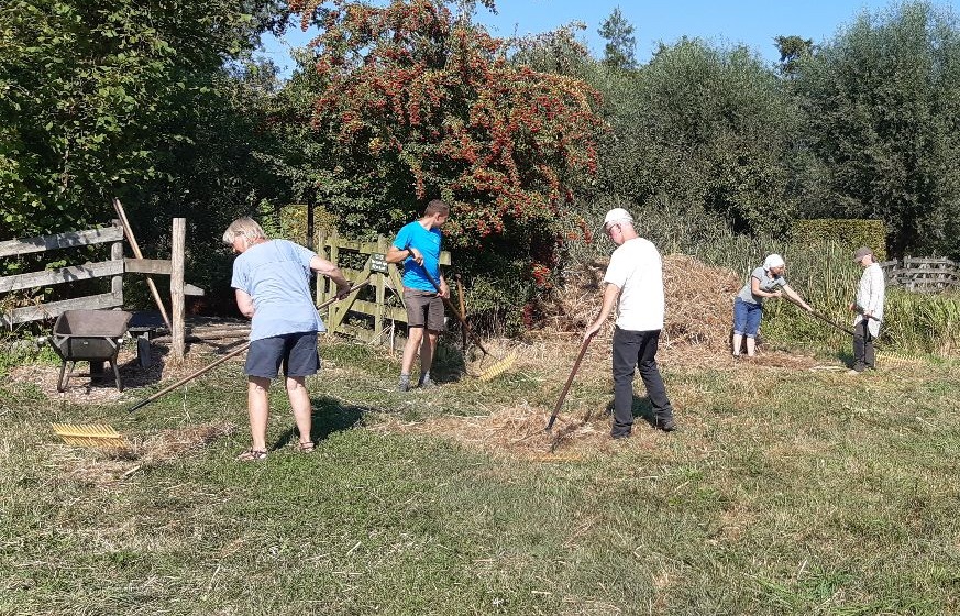 Samen hooien voor biodiversiteit in de Goudse Hout