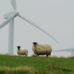 Wokkel-molens en lokaal eigendom. Wat is jouw mening?